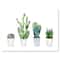 Designart - Cactus Succulent Aloe Vera Home Plants In The Pots - Farmhouse Canvas Wall Art Print